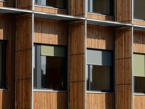 fenetre bois couleur gris